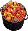Heirloom Tomato Seeds - Diversity of Tomatoes in a Pot!