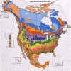 Find Your USDA Plant Hardiness Zone